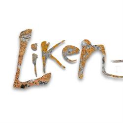 Liken Restaurante, Playa Blanca