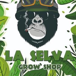 La selva growshop, El Ejido