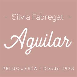 Peluquería Silvia Fabregat Aguilar, Almassora