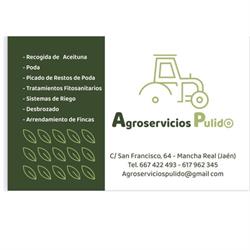 Agroservicios pulido, Mancha Real