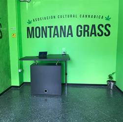 Montana GRASS, Tías