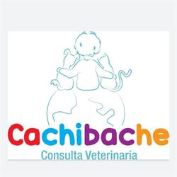 Centro veterinario cachibache, Arucas