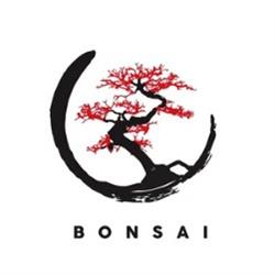Bonsai Ibiza