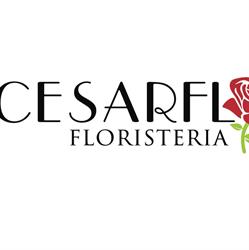 Cesarflor,S.L., Almería
