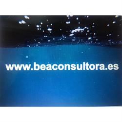 Bea Consultora Property & Sales, Mijas