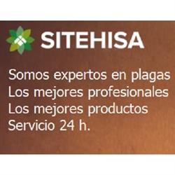 Control de Plagas de Termitas y Carcoma Sitehisa, Bilbao