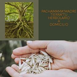 PACHAMAMA "madre tierra" tu herbolario a domicilio, Madrid