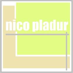 Nico Pladur, Campos