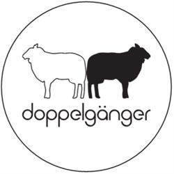 DOPPELGANGER BAR, S.L., Madrid
