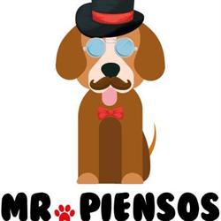 Mr. Piensos, Palma de Mallorca
