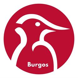 BricoCentro, Burgos