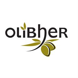 OliBheR Burgos Gamonal