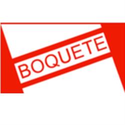Mudanzas y Guardamuebles Boquete S. L., Brion