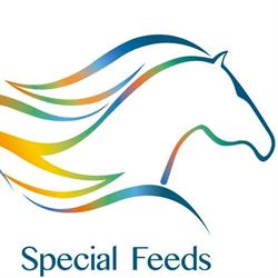 Special Feeds, Ontígola