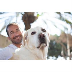 Pet Excellent Treatment, Palm-Mar