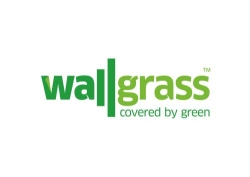 Wallgrass, Madrid