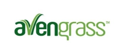 Avengrass, Madrid