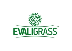 Evaligrass, Madrid