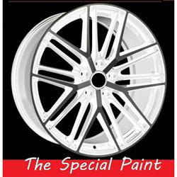 The Special Paint, Tiana