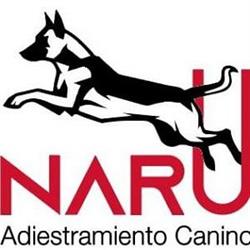 Adiestramiento Canino Narú, Morgade