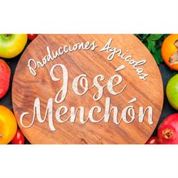 J. Menchón Producciones Agrícolas, Massamagrell