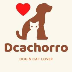 Dcachorro, Calella