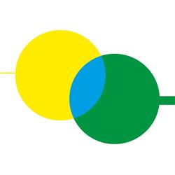 Es Figueral d'en Recó - Transporte, Campos