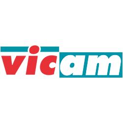 Vicam Toys S.L., Biar