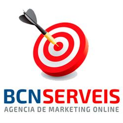 Bcnserveis Diseño Web Barcelona