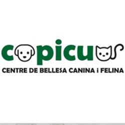 Cap i Cua, Binissalem