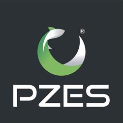 Pzes, Madrid