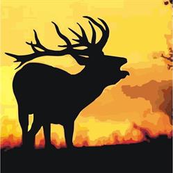 Cañones Wildlife Services, Las Rozas de Madrid