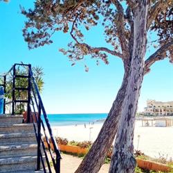 La Zenia Beach Resort, Orihuela-Costa
