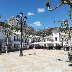 Inmobiliaria Grazalema
