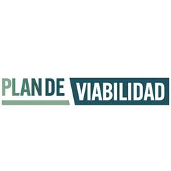 Plan de Viabilidad, Gines