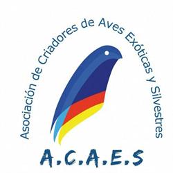 ACAES, Sabadell