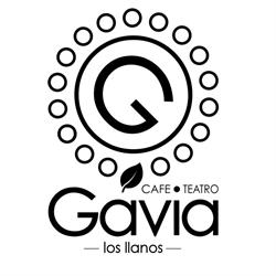 Café - Teatro Gavia Los Llanos, Estella
