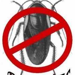 Tot Plagues, La Llagosta