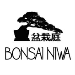 Bonsai Niwa, Cerceda