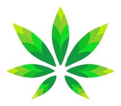 CBD-Madrid