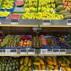 Frutería San Roque, Guia