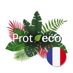 PROT-ECO, Figueres