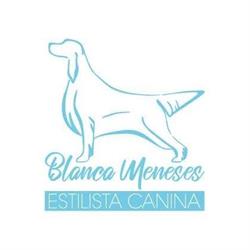 Blanca Meneses, Gijón