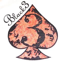 Black3 Bordados Bergara