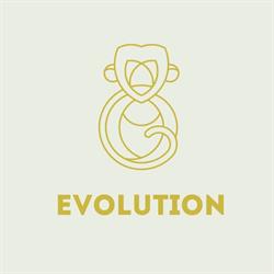 EvolutionStore, Paiporta