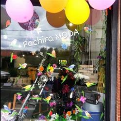 Pachira Moda, Curtis