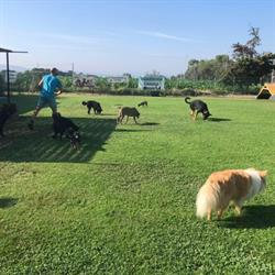 Centro Canino Baix Montseny, Cardedeu