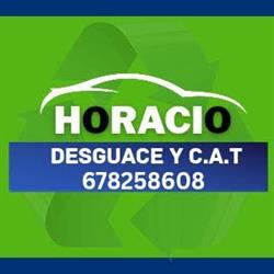 Desguace Horacio, Gáldar