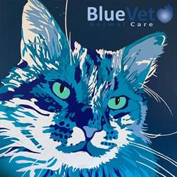 BlueVet Veterinario Las Matas