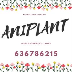 Aniplant, Abraveses de Tera